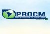 Profesional Clean Medium